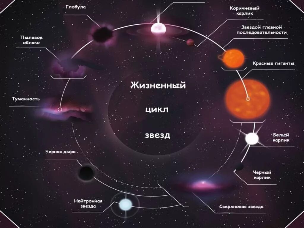 Середина жизненного цикла звезды. Эволюция звезд. Строение Вселенной. Схема современной структуры Вселенной. 1 этап звезда