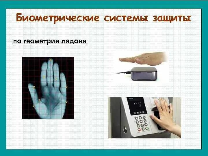 Какие сведения относятся к биометрическим