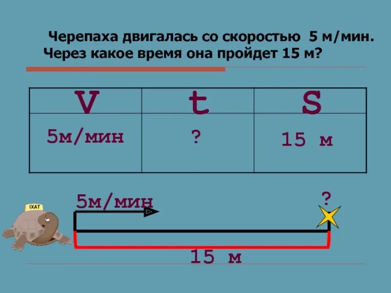 Задачи на движение черепаха. Черепаха движется со скоростью. Скорость черепахи м/мин. Черепаха двигалась со скоростью 5 м/мин. Скорость черепахи метров в минуту