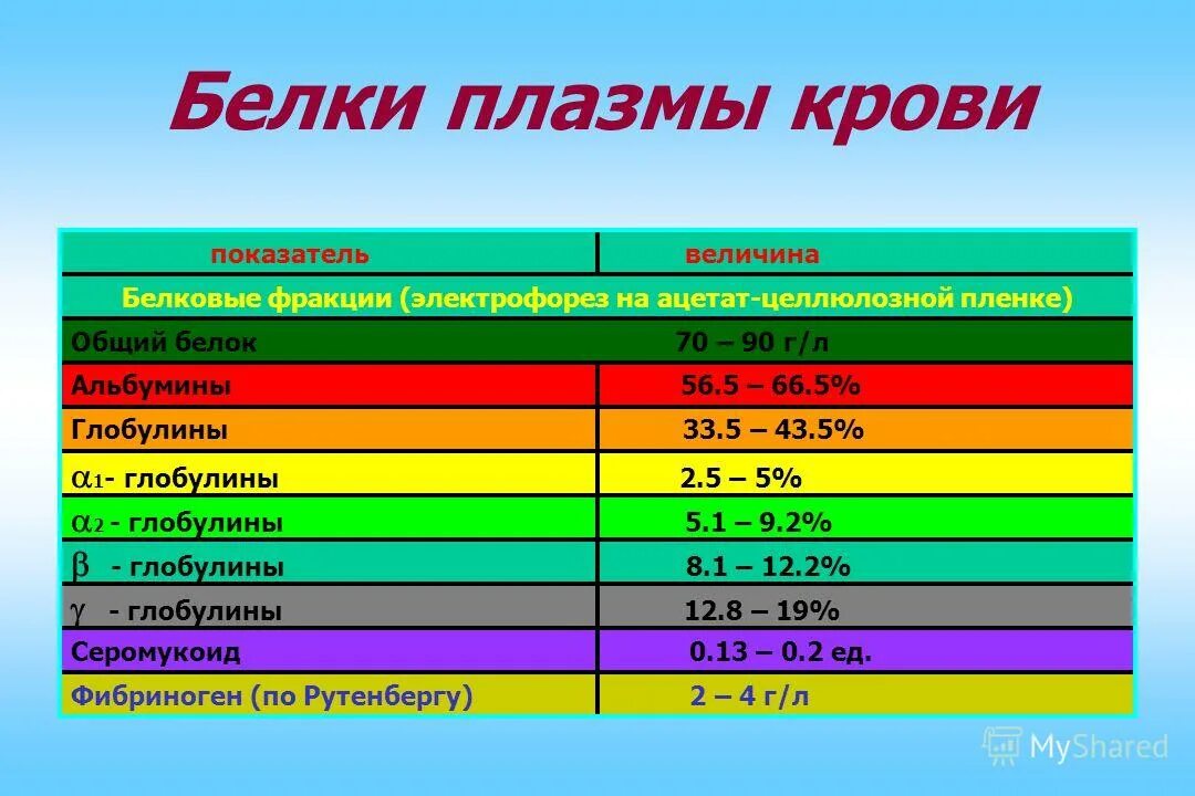 Белок плазмы крови содержащий белок. Основные белки плазмы крови. Показатели белкового обмена. Белки плазмы крови фракции. Функции белков плазмы крови.