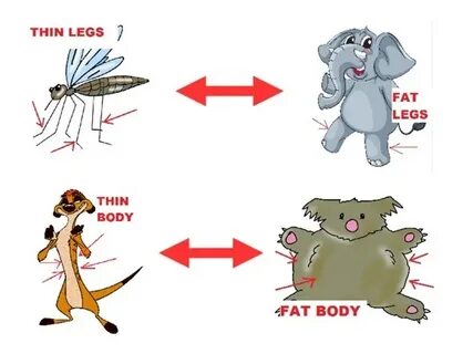 Get thinner