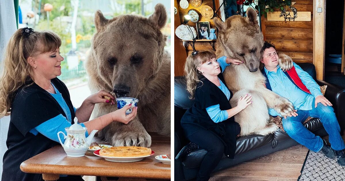 Медведь в семье Пантелеенко. Russian petting