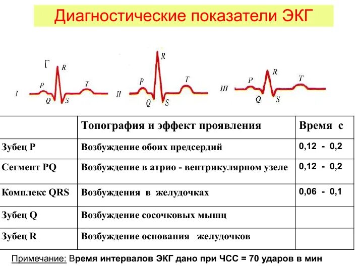 Кардиограмма сердца расшифровка норма. Расшифровка ЭКГ показатели нормы. ЭКГ сердца в норме показатели. Нормы зубцов ЭКГ таблица.