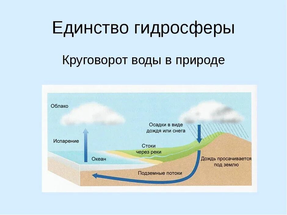 Гидросфера 6 класс география круговорот воды в природе. Мировой круговорот воды 6 класс география. Круговорот воды в природе схема. Мировой круговорот в природе 6 класс. Какое значение круговорота воды