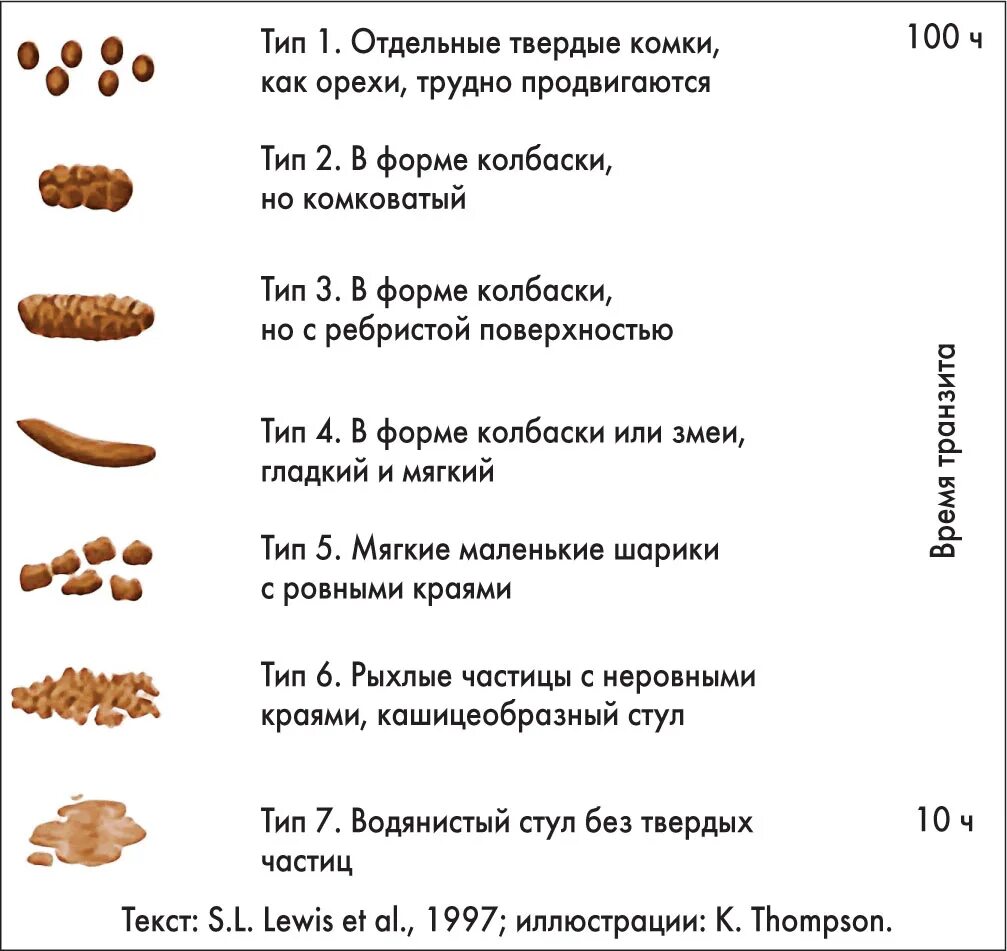 Какой бывает понос. Орехи при запоре. Продукты которые крепят кал. Продукты закрепляющие стул.