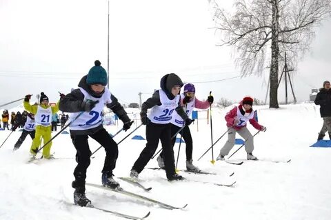 Красноуфимск программа