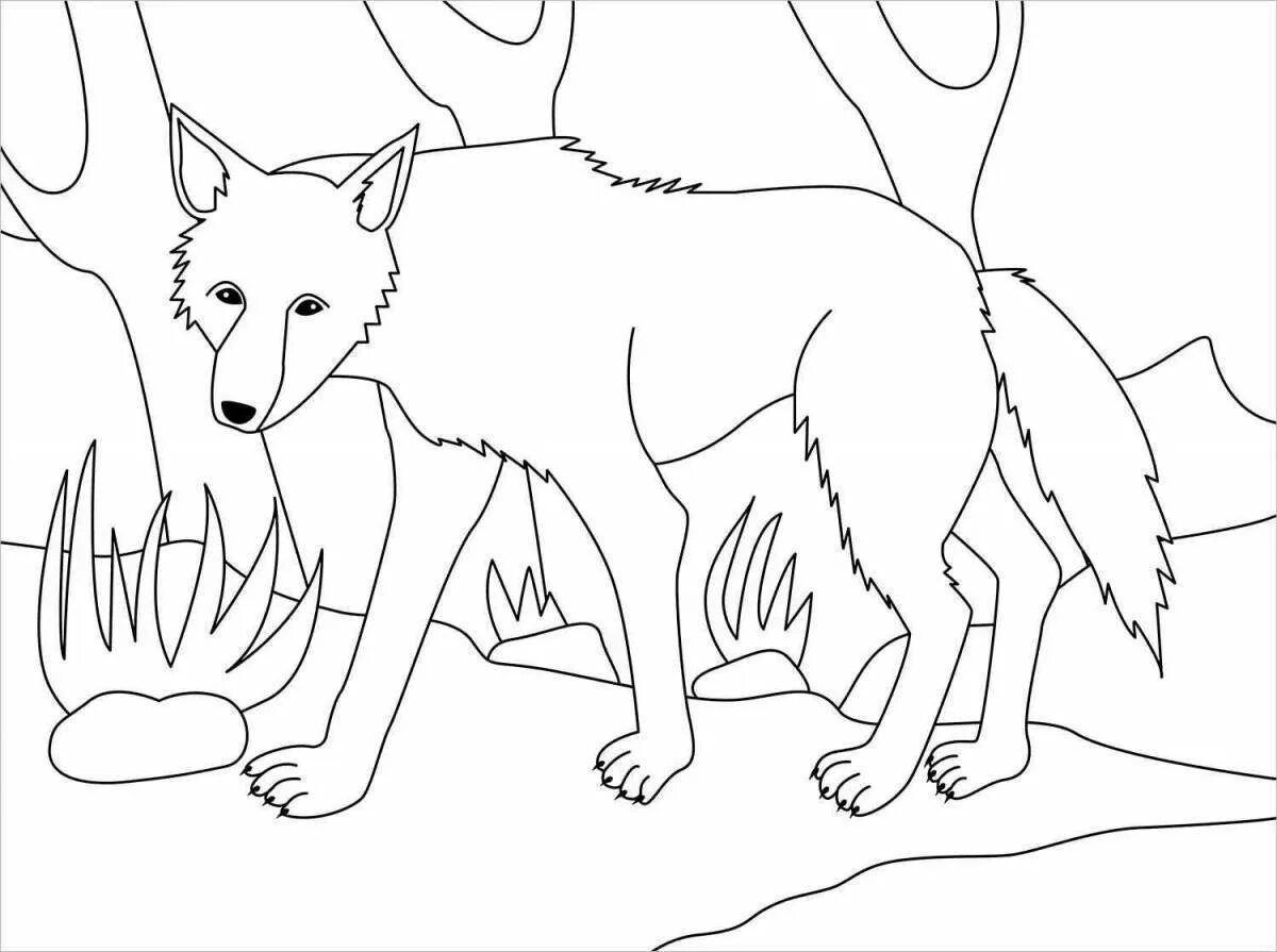 Раскраска серый волк. Тасманский волк раскраска. Раскраска волк. Волк раскраска для малышей. Расскраск аволк.