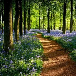 English path