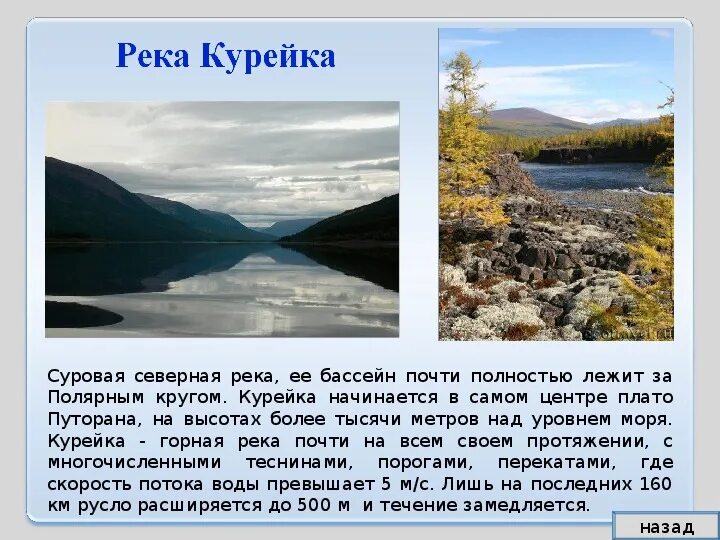 Протяженность нижней тунгуски в красноярском крае. Река Курейка Красноярский край. Реки Красноярского края презентация. Река Курейка на карте Красноярского края. Крупнейшие реки Красноярского края.