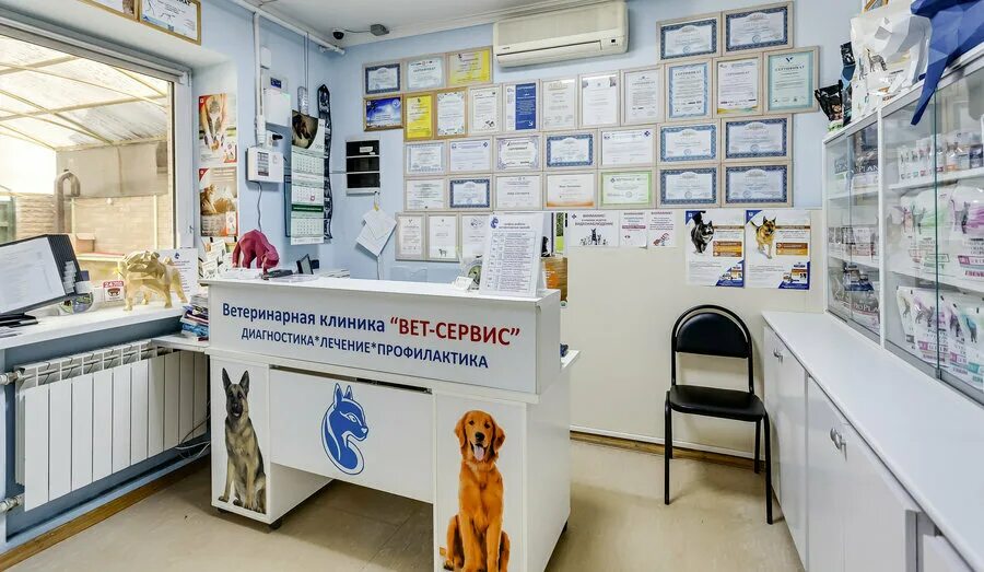 государственная ветеринарная клиника. клиника белорусская 203а. клиника доктора кротова ростов на дону. ветсервис ветклиника. ветклиника на белорусской 203а.