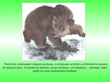 Е и чарушин кабан герои произведения