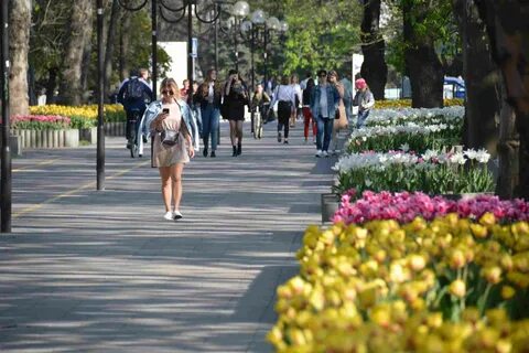 Одноклассники в новороссийске
