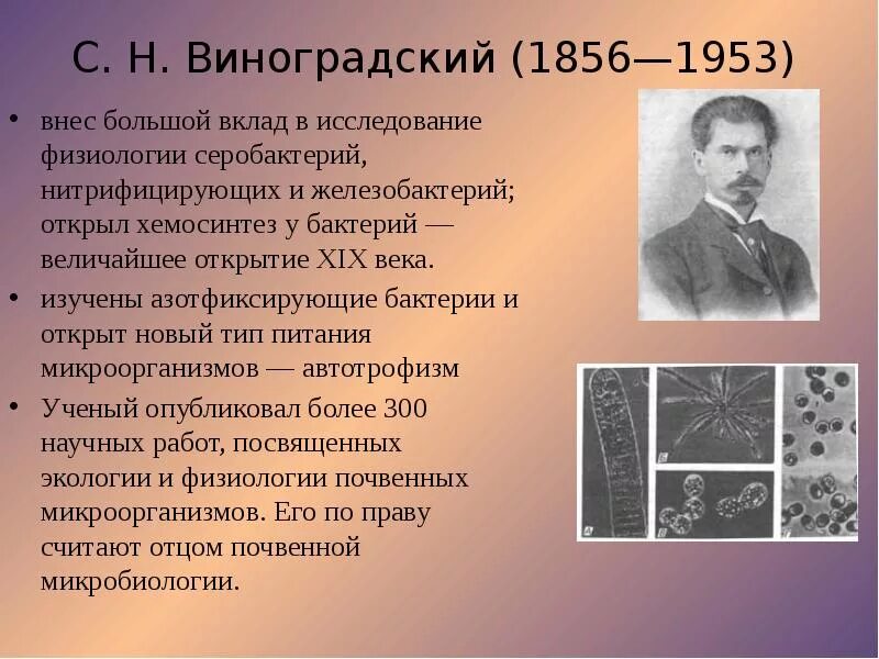 Отечественные ученые микробиологи. Ученые микробиологии. Вклад русских ученых в микробиологию. Примеры иллюстрирующие достижения отечественных ученых