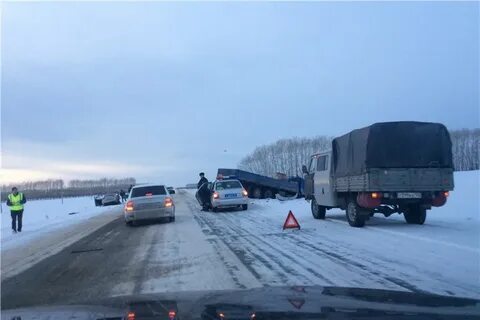 Сутки видео