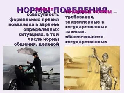 Установление общих правил поведения это