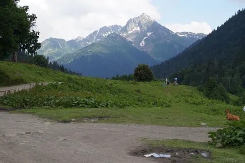 Ауадхара абхазия