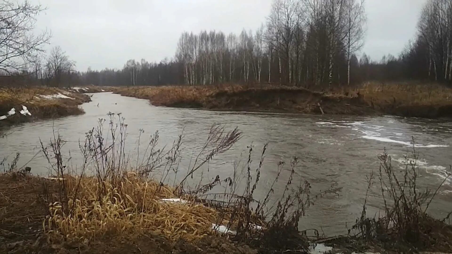 Вода в костроме сегодня. Костромские разливы. Костромские разливы фото. Костромские разливы Ярославская область.