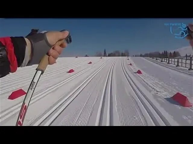 Сыктывкар лыжная трасса