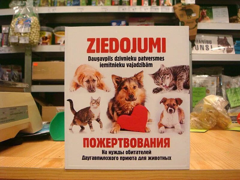 Средства для приюта для животных. Сбор средств для бездомных животных. Акция помоги животным. Средства для приюта для животных. Корм для приюта животных.