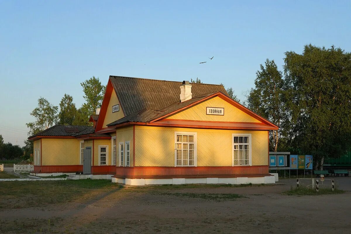 П Хвойная Новгородская область. Станция Хвойная Новгородская. Станция Хвойная Октябрьская ЖД. Станция Хвойная 2022. Поселок хвойная новгородская область