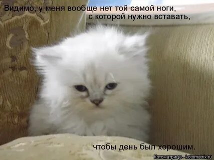 Будить нельзя