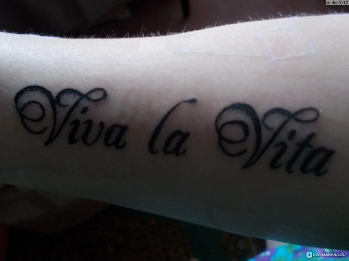 тату надписи на латыни. всему свое время на латыни тату. тату на латыни. красивые татуировки на латыни. татуировки надписи на латыни.