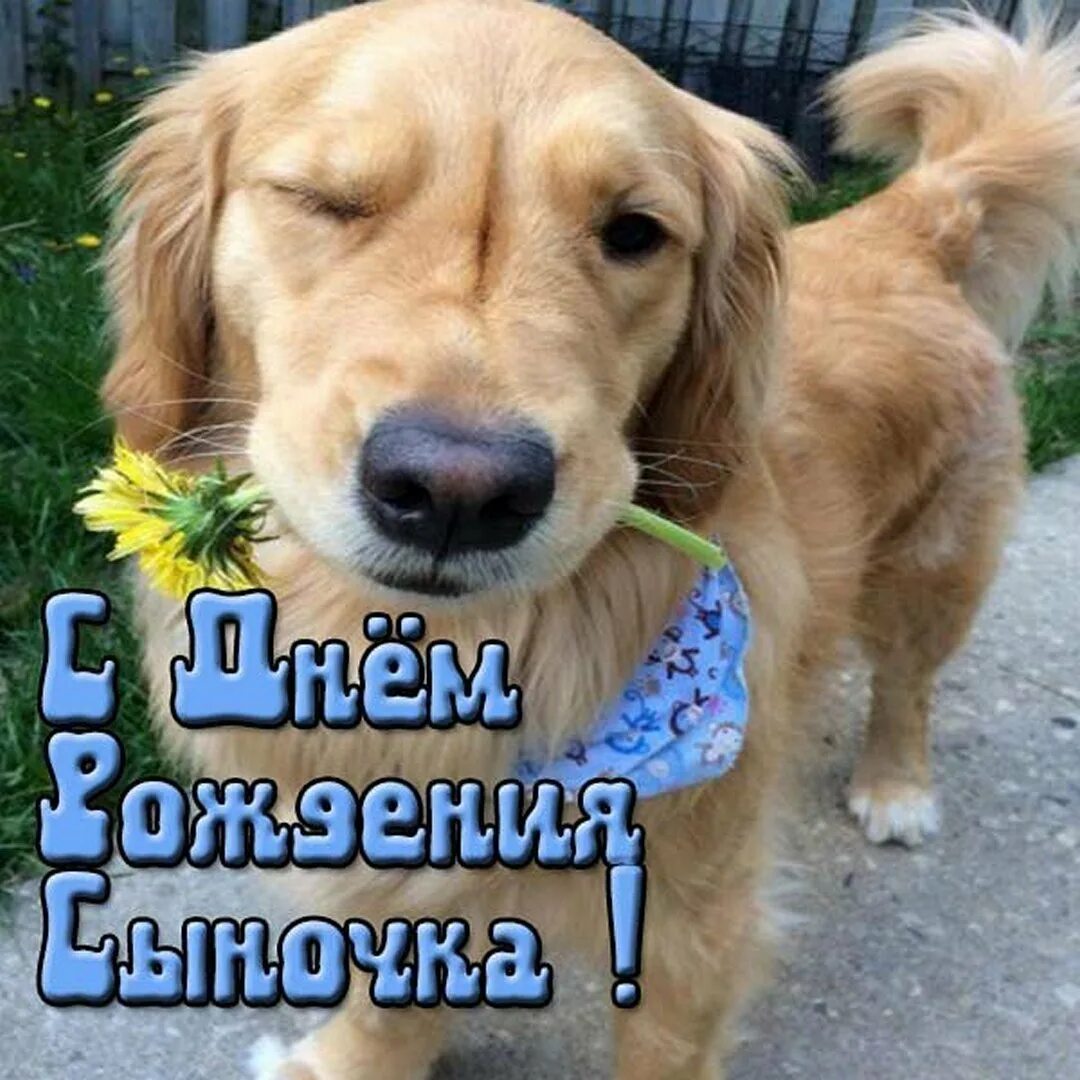 Поздравить сыночка подруги