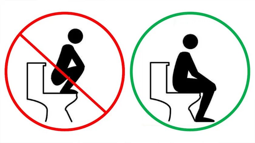 Стервочка пришла в туалет