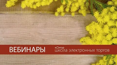 Мимоза афоризмы