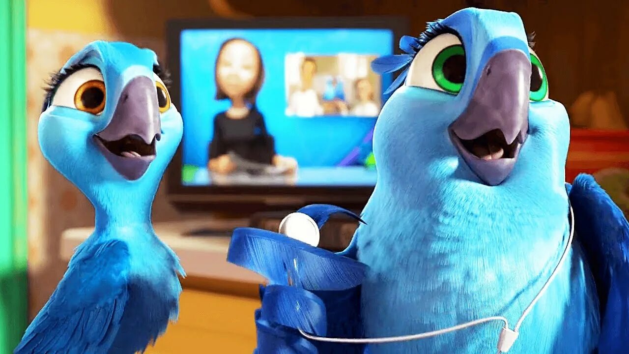 Рио 1 Голубчик и Жемчужинка. Рио 2 Голубчик. Рио 2 [Rio 2] (2014). Rio watch