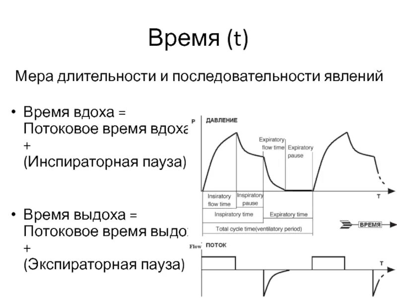 Длительность фазы выдоха. Инспираторная пауза на ивл. время вдоха ивл. соотношение вдоха и выдоха при ивл. длительность дыхательной паузы.