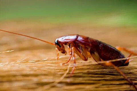 Crawling around