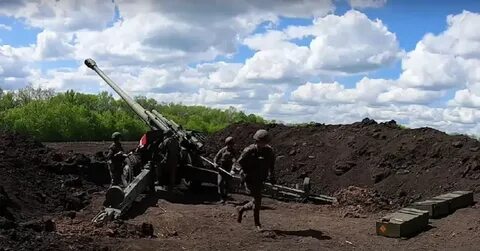 Бои за синьковку 2023