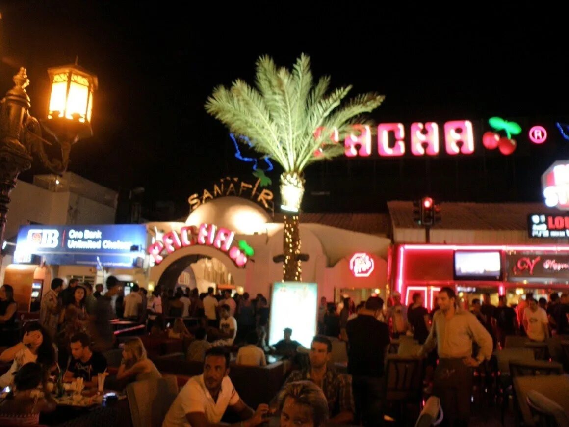 Дискотека pacha шарм. Дискотека пача в шарм эль. Дискотека пача в шарм эль. Дольче вита шарм-эль-шейх дискотека. Дискотека в шарм эль шейхе.