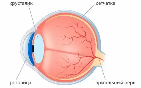 Хрусталик ограничения