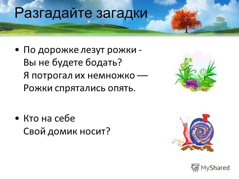загадка про улитку для дошкольников. загадка про улитку 1 класс. детская загадка про улитку. улитка улитка высуни рога. загадка про улитку.