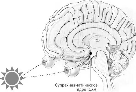 Подавление ядра
