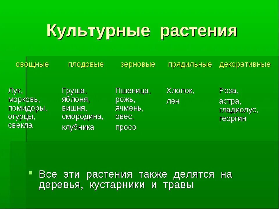 Запиши названия культурных растений. Культурные растения. Культурные деревья. Культурные растения деревья кустарники. Культурные деревья кустарники травы.