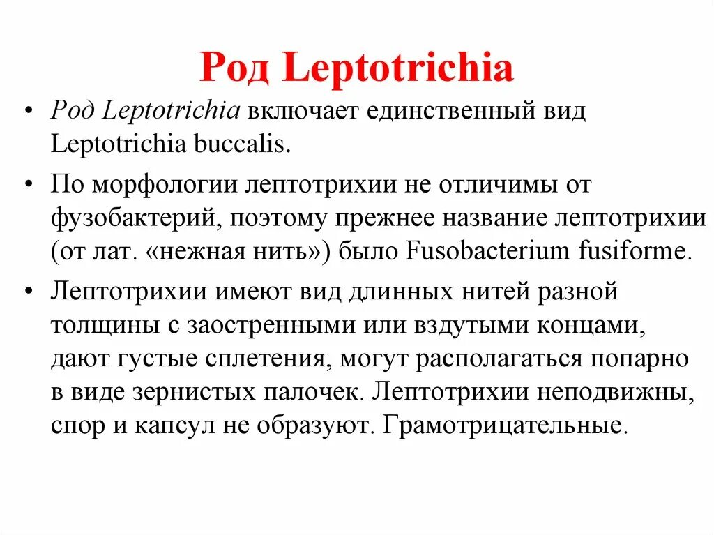 Лептотрикс лечение. Leptotrichia buccalis морфология. Лептотрихии (род Leptotrichia). Лептотрихии микробиология. Лептотрикс (Leptothrix).