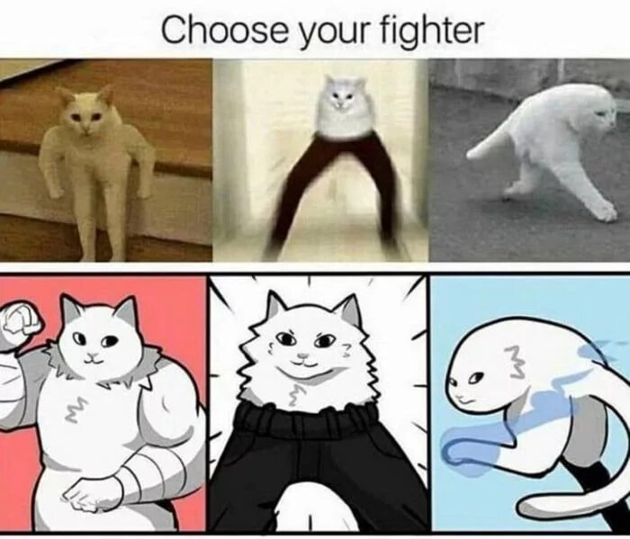 Choose your package