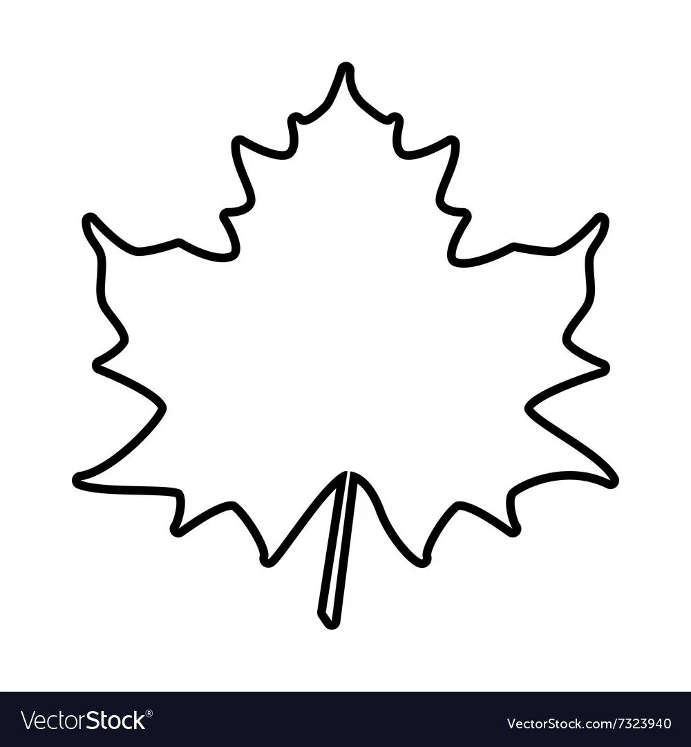 Кленовые листики чб. Лист клена раскраска. Листья для срисовки. Кленовый лист контур. Контур листьев на прозрачном фоне.