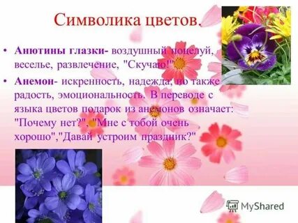 18 цветов значение