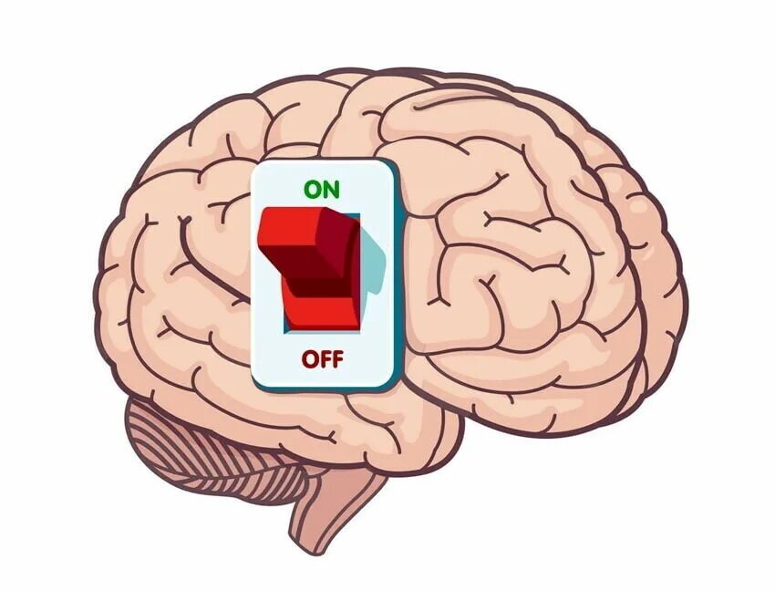 Мозг выключен. Мозг отключился. Сильный мозг. Отключение мозга