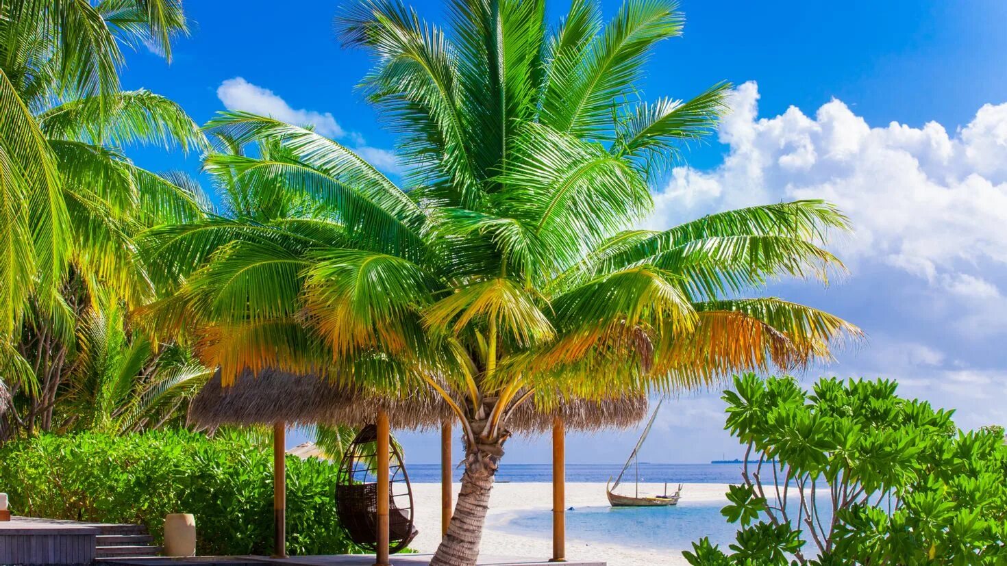 Фотообои стола. Парадиз остров Карибского моря. Гавайи Мальдивы Карибы. Тропический Парадиз. Тропикал Палмс Гоа.