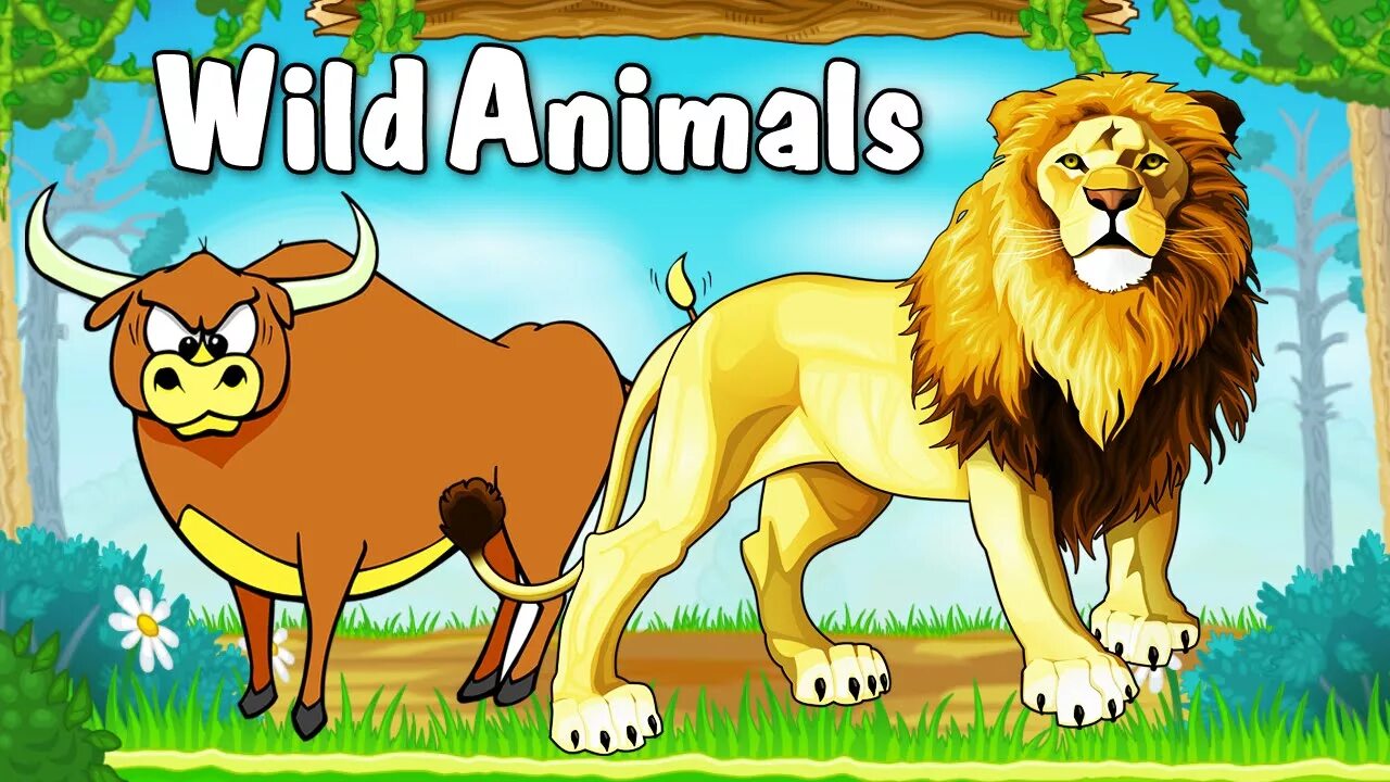 Kids box wild animals