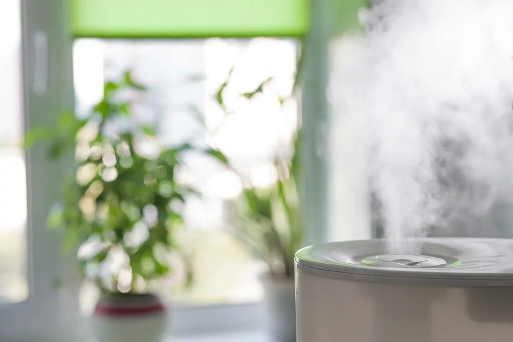 Увлажнитель воздуха genau. Увлажнитель воздуха Humidifier. Увлажнитель воздуха для растений. Увлажнение воздуха в квартире. Увлажнение воздуха водой