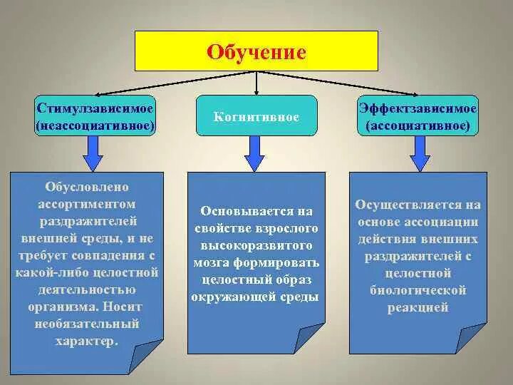 Ассоциативное обучение. Ассоциативное и неассоциативное обучение. формы ассоциативного обучения. примеры неассоциативного обучения. ассоциативные и неассоциативные формы обучения.