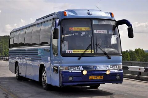 Автобусы новосибирск бийск завтра