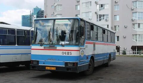 Оренбургская область автобусы
