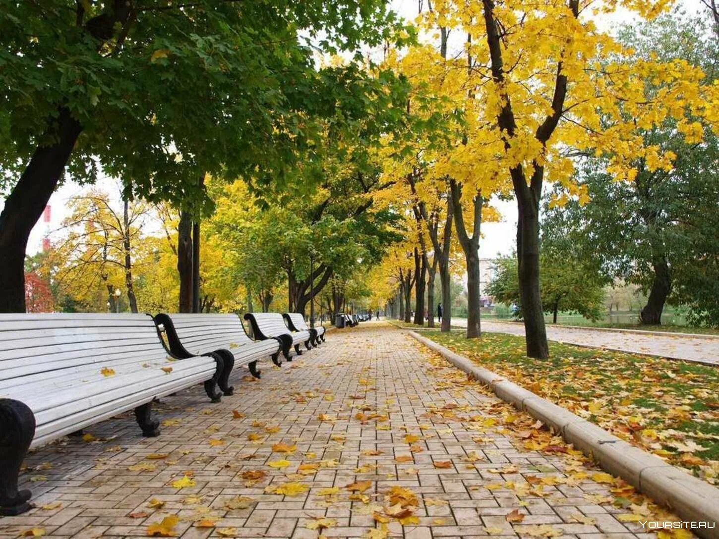 Аллея кск. Парк Новодевичьи пруды лавочки. Аллея в парке Москва. Аллеи бульвары скверы Барнаул. Аллея халык сквер Алматы.